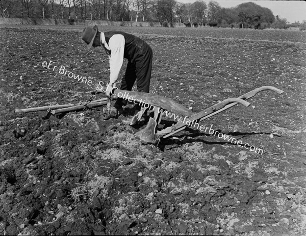 WOODEN PLOUGH